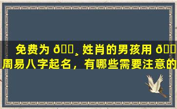 免费为 🕸 姓肖的男孩用 🌼 周易八字起名，有哪些需要注意的取名重要一环